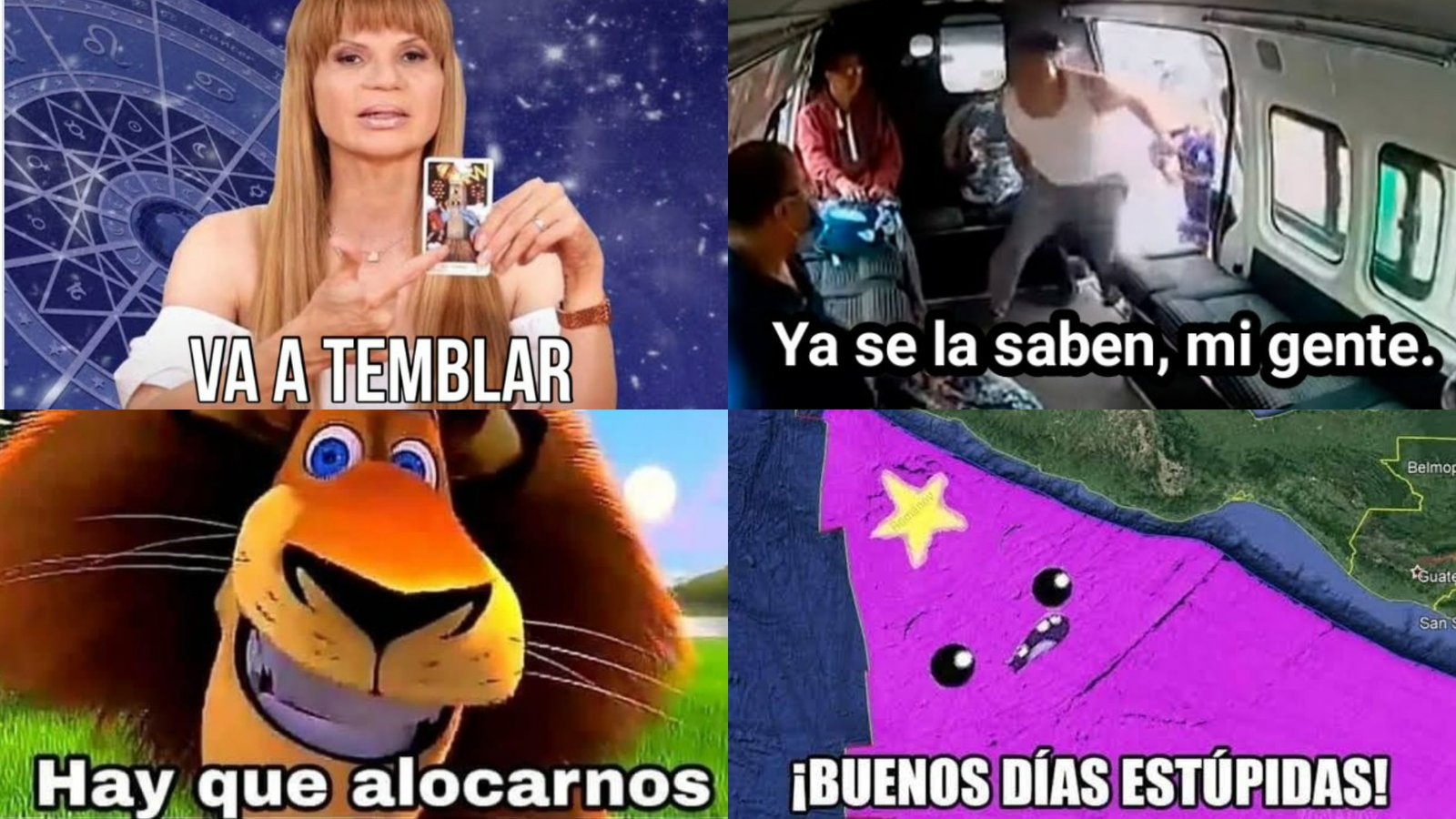 MEME Temblor